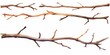 Set of watercolor tree branches without leaves. Hand drawn bare snags isolated on white background. Watercolor  illustration, Generative AI