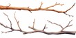 Set of watercolor tree branches without leaves. Hand drawn bare snags isolated on white background. Watercolor  illustration, Generative AI