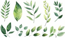 Set Of Watercolor Green Leaves Elements. Collection Botanical Isolated On White Background Suitable For Wedding Invitation, Save The Date, Thank You Or Greeting Card, Generative AI
