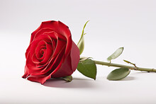 A Single Red Rose Sitting On Top Of A White Table