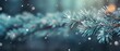 Snow fall in winter forest. Christmas new year magic. Blue spruce fir tree branches detail. Banner image