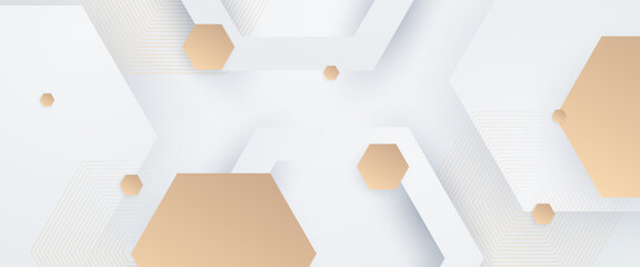 White background with golden lines and geometric shapes. White and gold abstract background with shapes