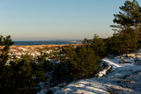Fototapeta Na ścianę - Widok na zaśnieżone wydmy, las i morze