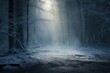 Mystical Atmosphere In Winter Forest. Сoncept Sunset Over The Beach, Adventure Hiking In Mountains, Urban Street Style Fashion, Vibrant Autumn Colors