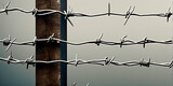 barbed wire and iron snowflakes