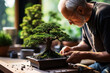 An elderly man with glasses carefully tends to a lush bonsai tree on a wooden table