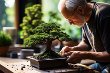An Elderly Man With Glasses Carefully Tends To A Lush Bonsai Tree On A Wooden Table