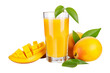 Zesty Infusion Orange Mango Nectar isolated on transparent background