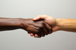 two beautiful hands with different color of skin type handshake on white background