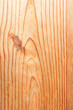 Wooden texture with resinous knots. Texture, Close-up, Background