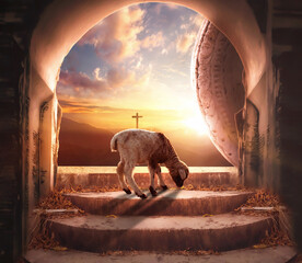 Wall Mural - easter concept: a lamb in empty tomb stone with cross on sunrise background
