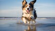 Happy dog running and jumping on ocean beach wallpaper AI Generated art