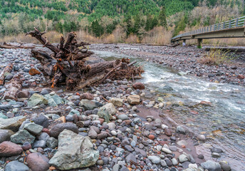 Wall Mural - Carbon River Scene 6