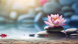 Lotus Flower With Spa Stones In Rock Garden,PPT background