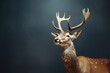 A close-up shot of a deer with impressive antlers. Perfect for nature and wildlife enthusiasts.