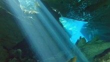 Diving Under Tulum, Swimming Under Cave In Cozumel. 