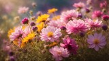 Fototapeta Kwiaty - Insanely beautiful field filled with beautiful flowers