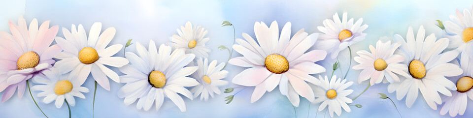 Wall Mural - watercolour daisy flowers background banner