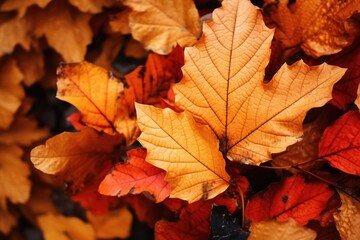 Poster - A close-up view of a bunch of leaves. This image can be used to add a natural touch to any project or as a background for various designs