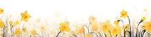 Ink And Water Sketch Of Daffodil Flowers Background Banner