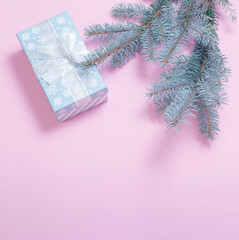 Wall Mural - branch of  christmas tree   on pink paper  background