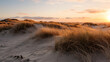 Coastal sand dunes with sparse vegetation golden hour lighting --ar 16:9 --v 5.2 --style raw