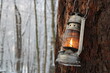 kerosene lamp shines on the bark of a pine tree in winter