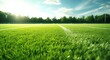 © olegganko - the grass makes a perfect grass field football field