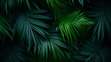 Natural Green Leaves And Palms Tropical Rainforest Background Header 