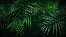 Natural Green Leaves And Palms Tropical Rainforest Background Header 