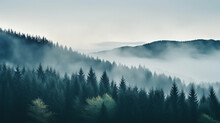 Misty Landscape With Forest. Fog Over Spruce Forest Trees At Early Morning. Spruce Trees Silhouettes On Mountain Hill Forest At Autumn Foggy Scenery. 