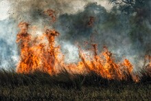 Bushfire In The African Savannah, Botswana, Africa