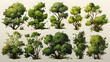 Set of Bush, Dwarf trees, ornamental trees, shrubs., Siamese rough bush, pruning tree for garden decoration.