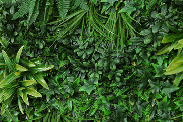 Canvas Print - Green artificial plant wall panel as background, closeup