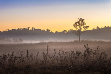 Wall Mural - The morning mist interspersed with the mountain range look layered at Phu Khiao National Park