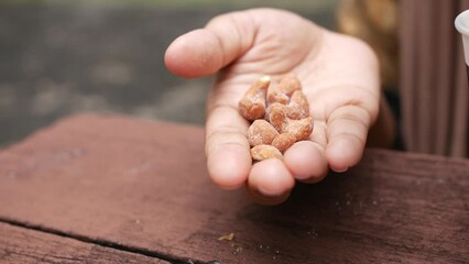 Sticker - women hand pick cashew nuts closeup
