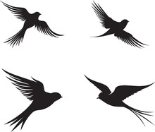 Set Of Silhouettes Of Bird Swallow On White Background