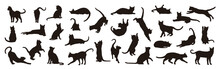 Collection Of Cat Silhouettes In Various Poses Isolated On Background