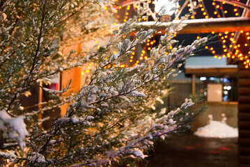 Wall Mural - Christmas tree with lights and garlands at night on the street, snow on the branches