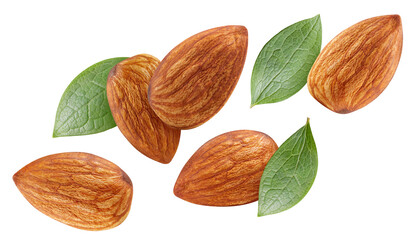 Wall Mural - Flying Almond isolated on white background