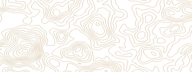 Abstract pattern with lines . Abstract Vector geographic contour map and topographic contours map background. Abstract white pattern topography vector background. Topographic line map background.