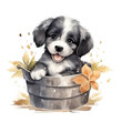 Transparent watercolor cute puppy in the basket clipart background
