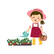 Little girl holding watering can and watering strawberry bushes.