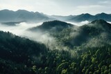Fototapeta Las - Aerial Drone Photograph of Picturesque Beautiful Landscape, Pine Tree Boreal Forest Scenery