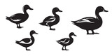 Fototapeta Pokój dzieciecy - Duck vector silhouette