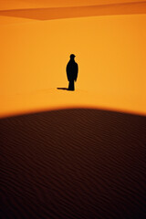 Poster - Majestic silhouette of a bird of prey's shadow on desert sand, embodying the untamed beauty of wildlife in minimalistic form.