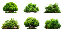 Collection Of 3d Cartoon Clipart Bush Trees Isolated On White And Transparent Background
