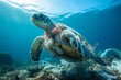 Underwater animal a turtle eating plastic bag, Water Environmental Pollution Problem 