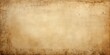 Aged blank parchment paper background