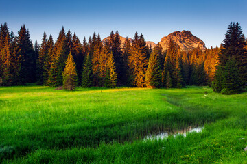 Canvas Print - mountains landscape